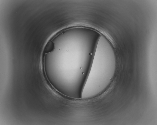 X0000111810888200907231014