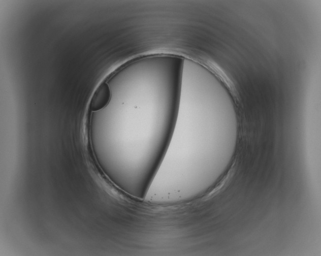 X0000111810892200907231013