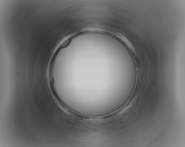 X0000111810893200907231013