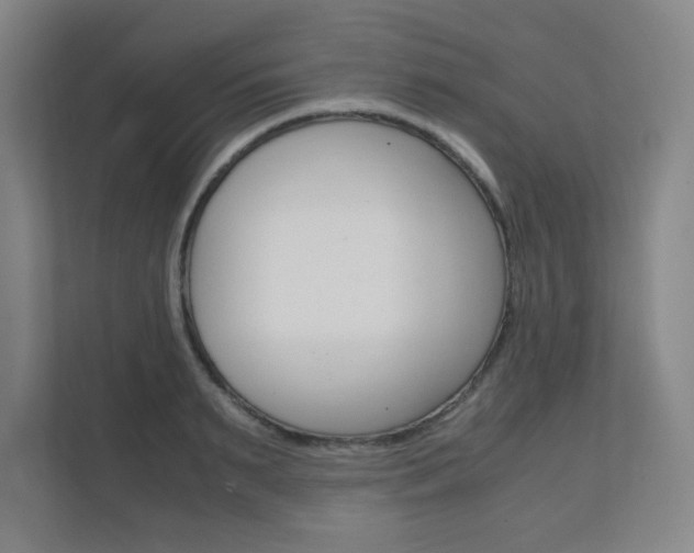 X0000111810895200907231013