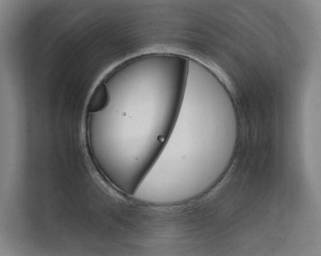 X0000111810896200907231013
