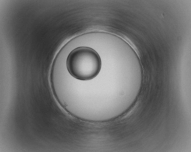 X0000111810901200907231013