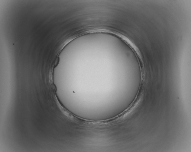 X0000111810905200907231013