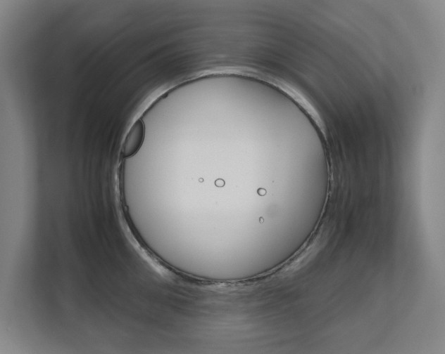X0000111810906200907231013