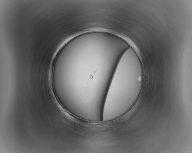 X0000111810910200907231013