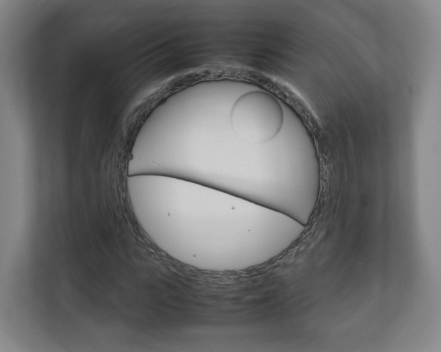 X0000111810919200907231012