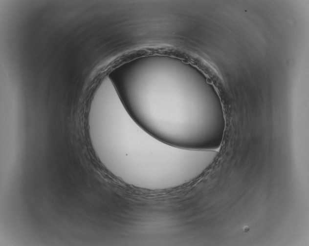 X0000111810920200907231012