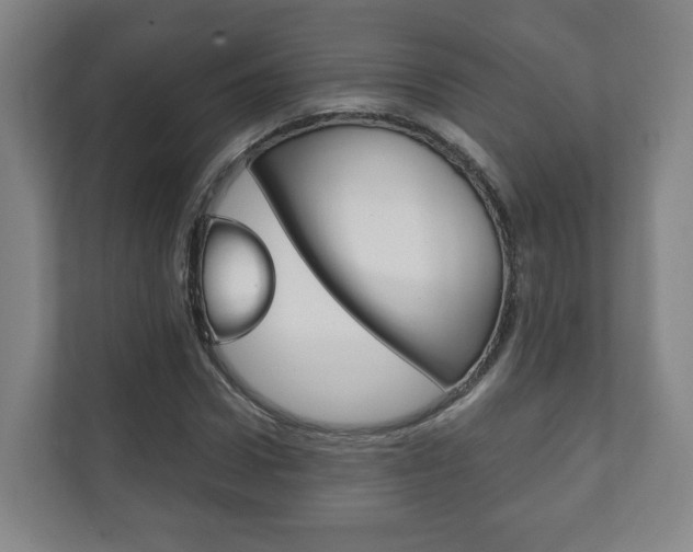 X0000111810922200907231013