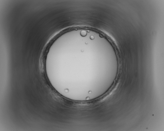 X0000111810925200907231013