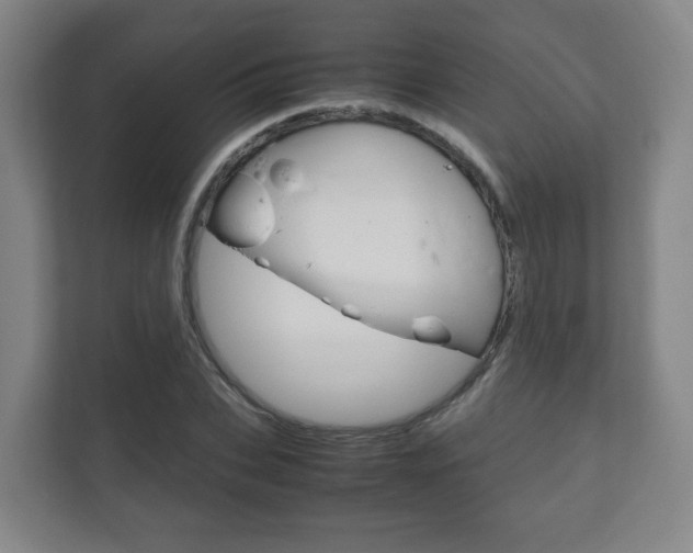 X0000111810927200907231013