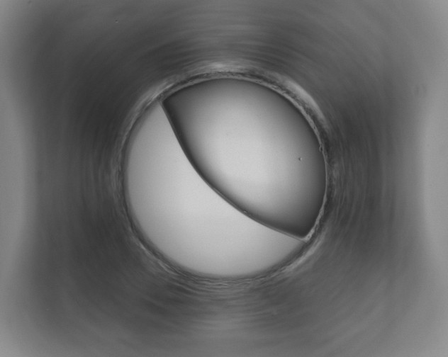 X0000111810930200907231013