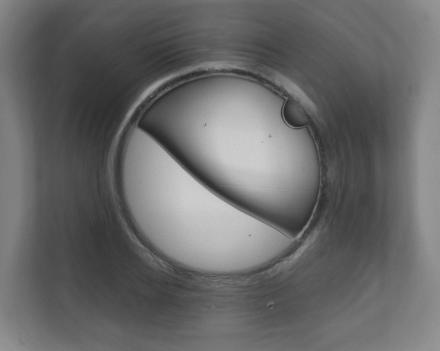 X0000111810934200907231013