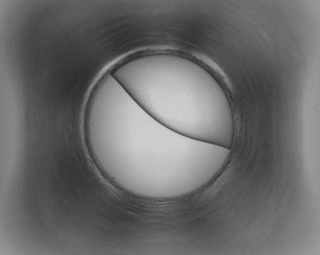 X0000111810935200907231013