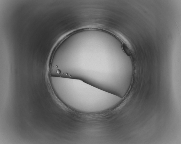 X0000111810940200907231013