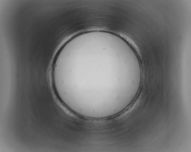 X0000111810941200907231013