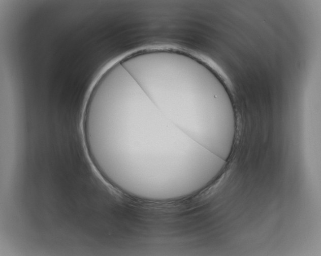 X0000111810943200907231013