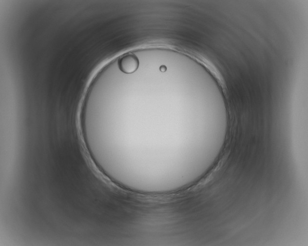 X0000111810944200907231013