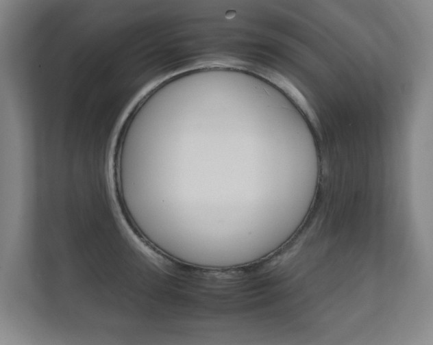 X0000111810947200907231013