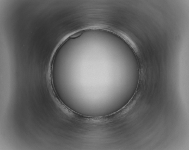X0000111810948200907231013