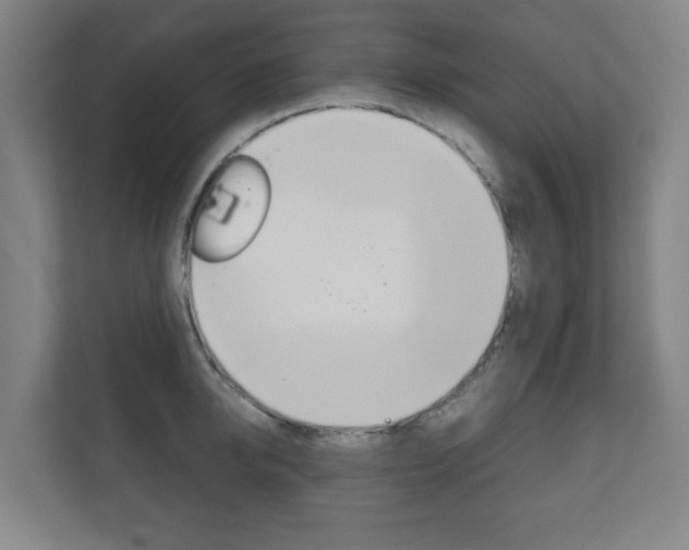X0000111810950200907231013
