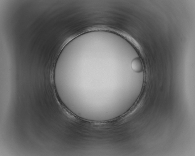 X0000111810953200907231013