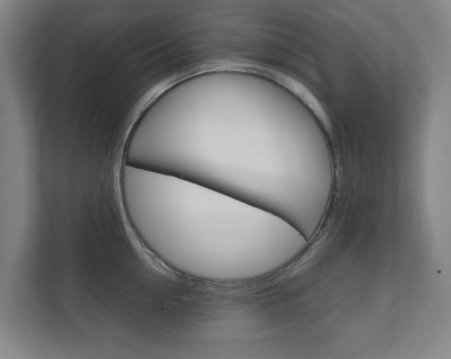 X0000111810954200907231013