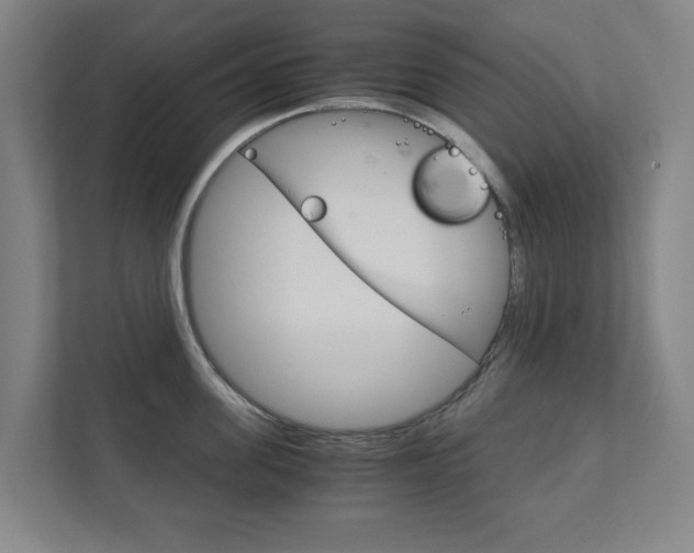 X0000111810955200907231013