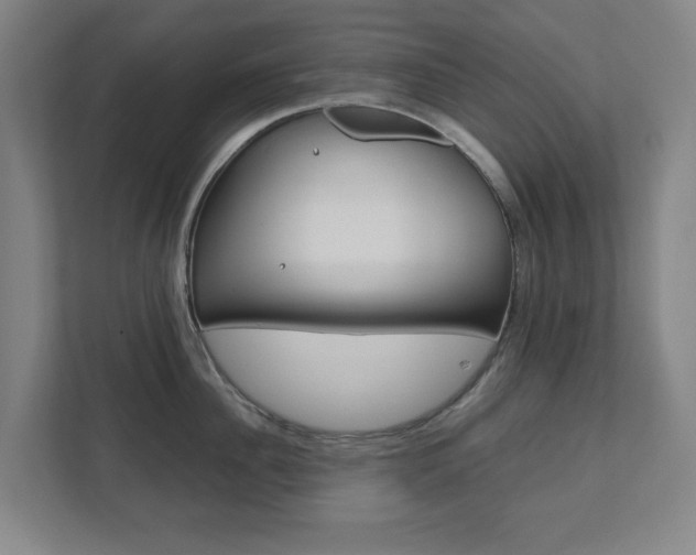 X0000111810956200907231013