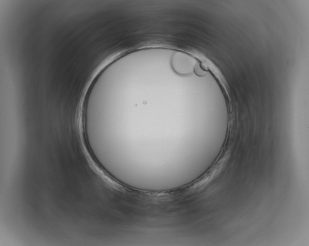 X0000111810957200907231013