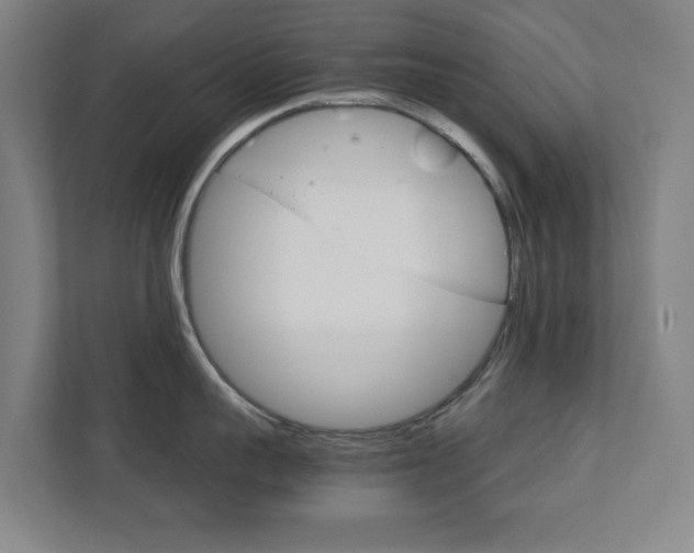 X0000111810959200907231013