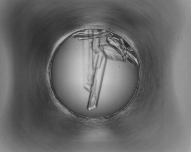 X0000111810960200907231013