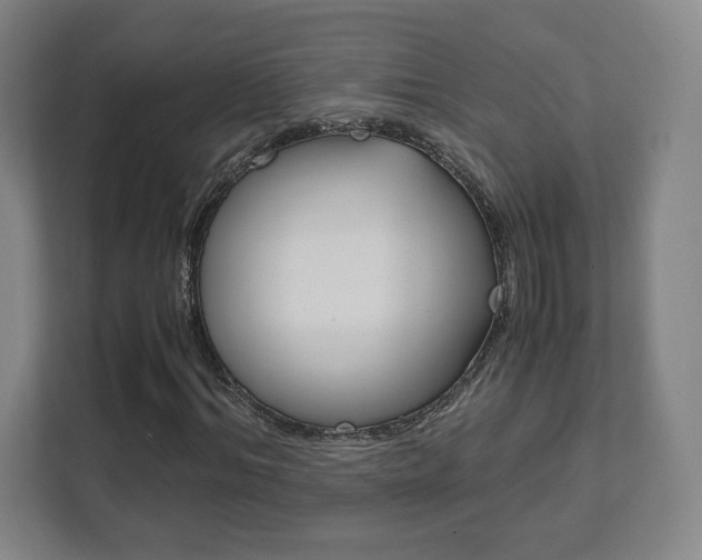 X0000111810964200907231012