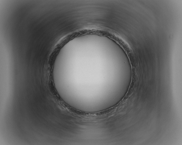 X0000111810968200907231012