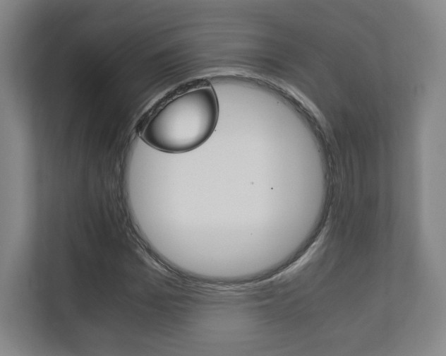 X0000111810969200907231012