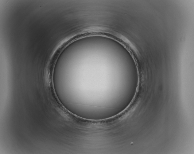 X0000111810973200907231012
