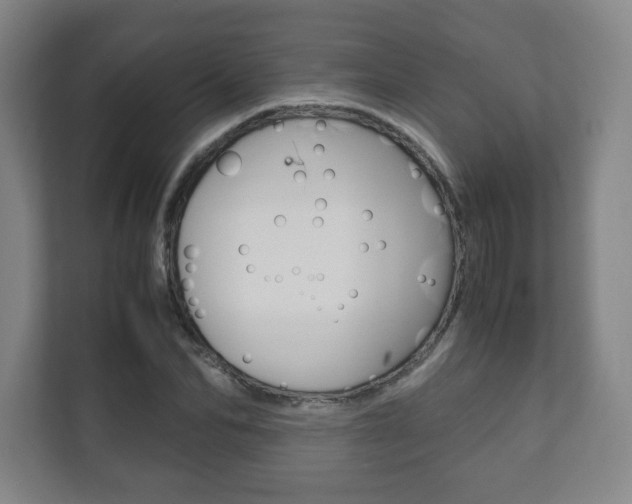 X0000111810974200907231012