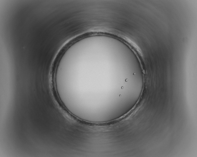 X0000111810976200907231012