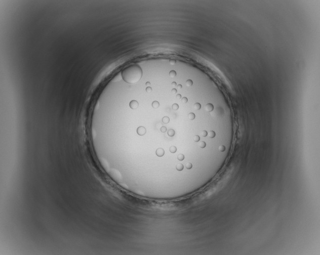 X0000111810978200907231012