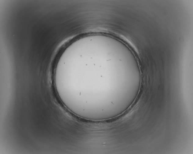 X0000111810979200907231012