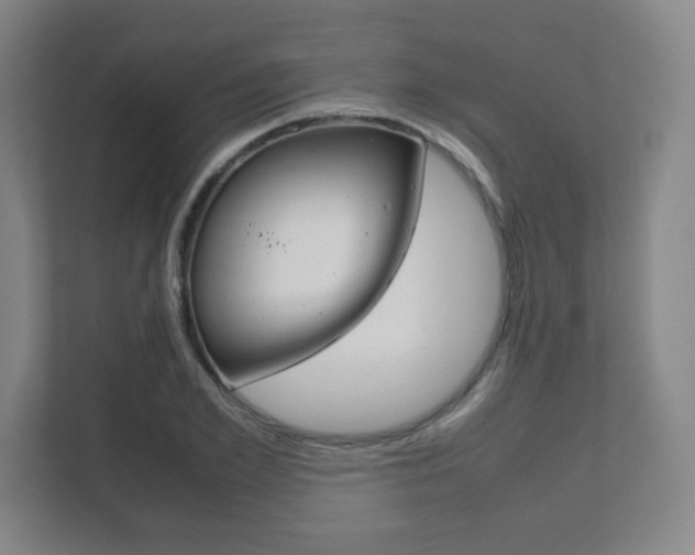 X0000111810981200907231012