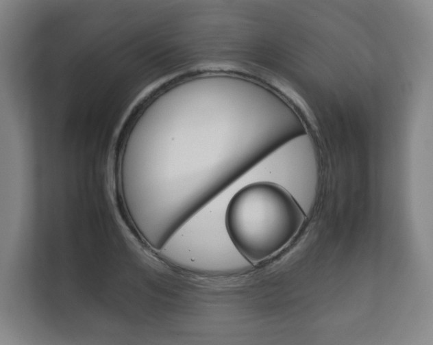 X0000111810984200907231012