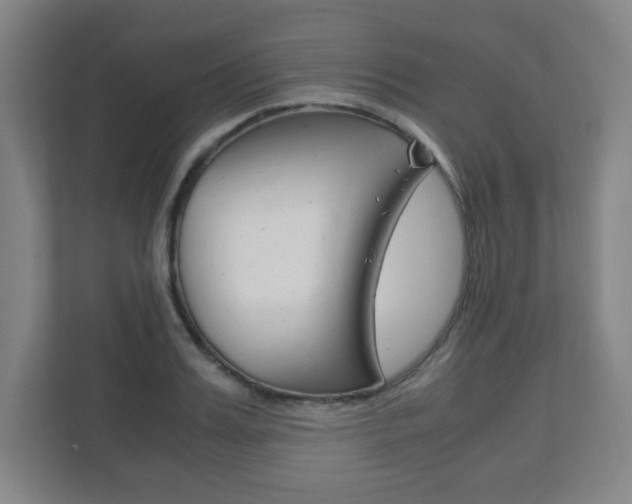 X0000111810987200907231012