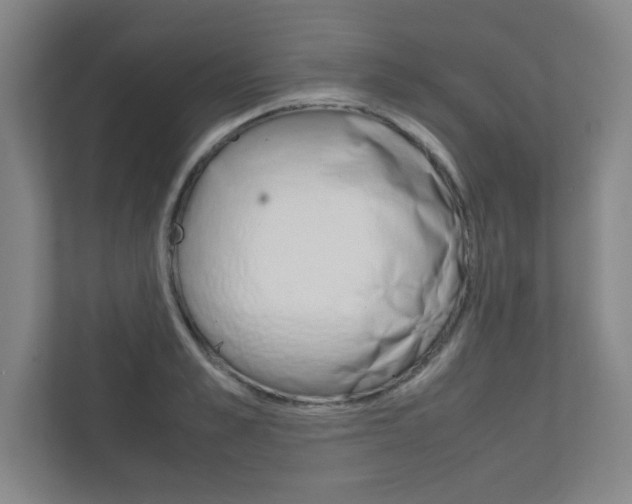 X0000111810989200907231012