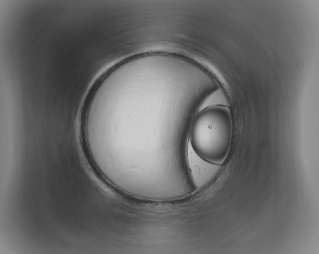 X0000111810991200907231012