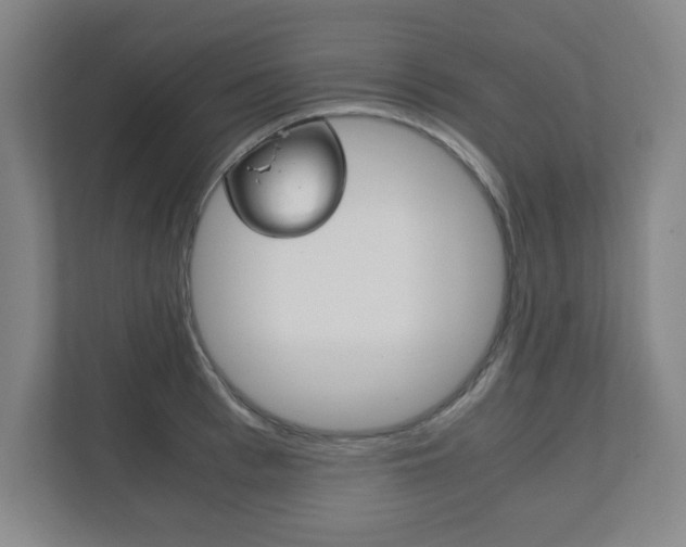 X0000111810993200907231012