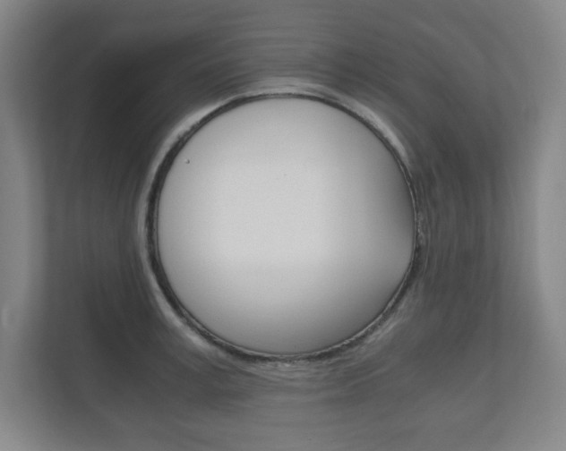 X0000111810995200907231012