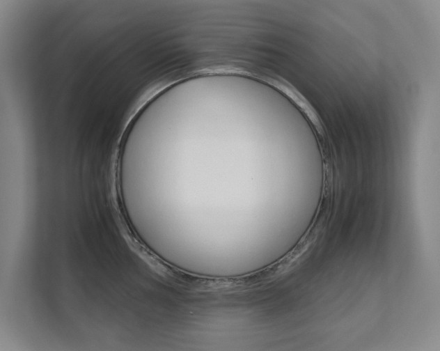 X0000111811002200907231012
