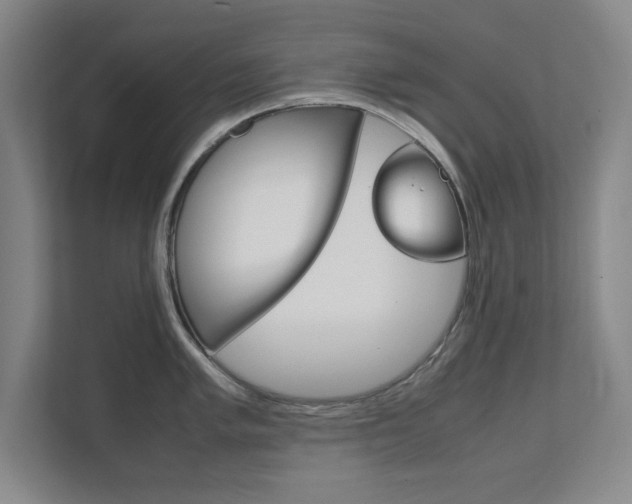 X0000111811005200907231012