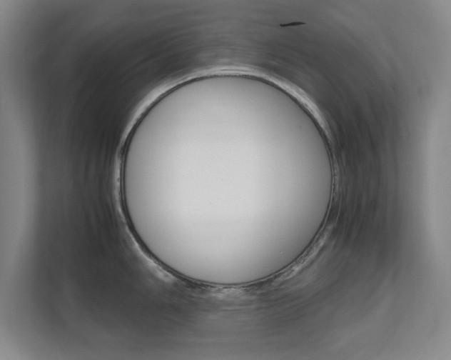 X0000111811006200907231012