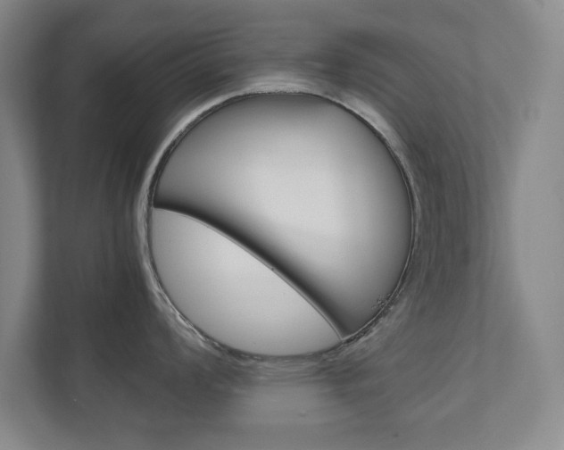 X0000111811008200907231012